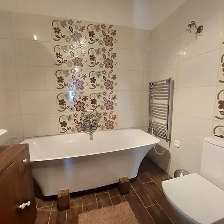 Siske Malom 펜션 블로톤퓌레드